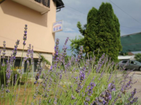 Отель Apartments Jančić  Грабовац